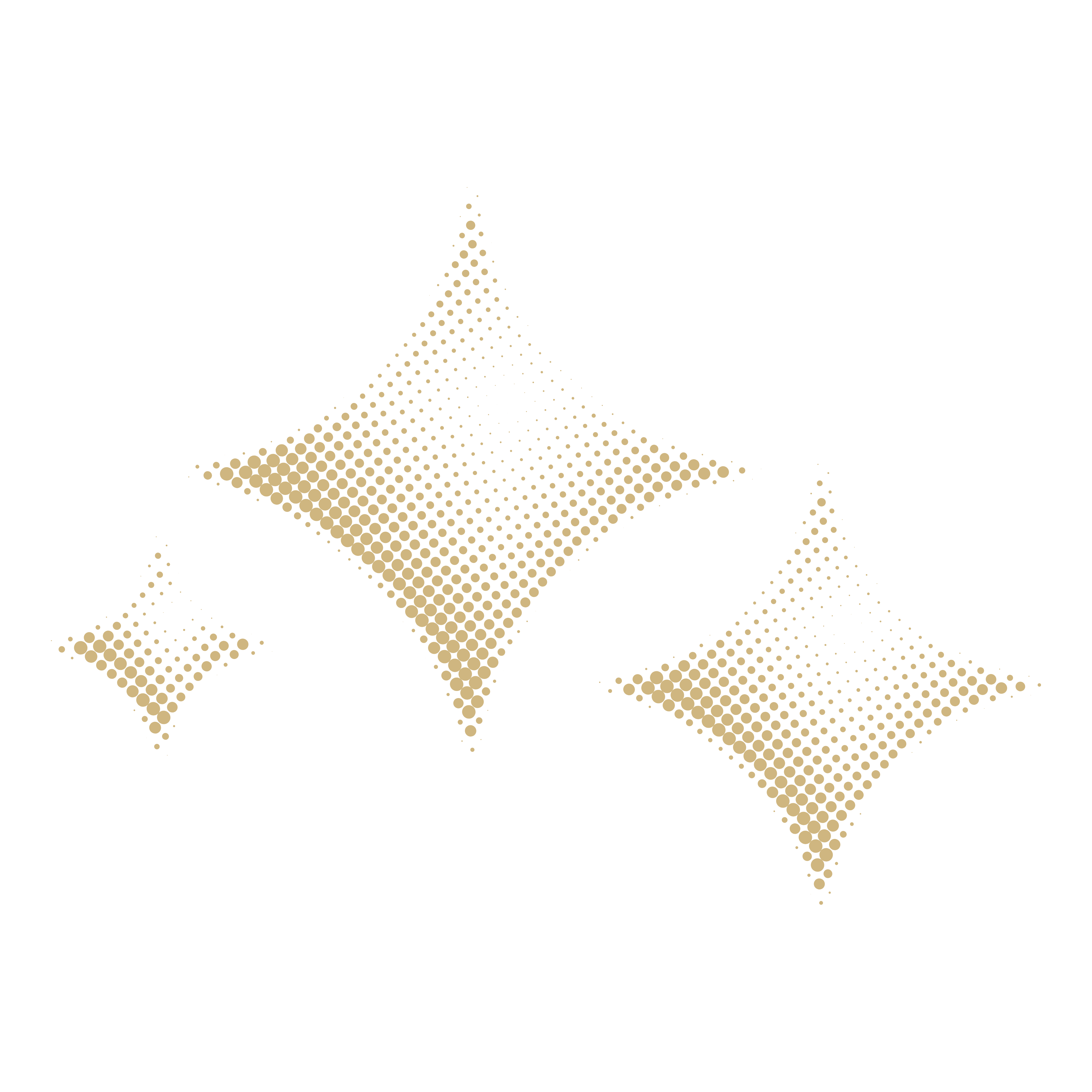 Real Luxury <em>Fleet</em>